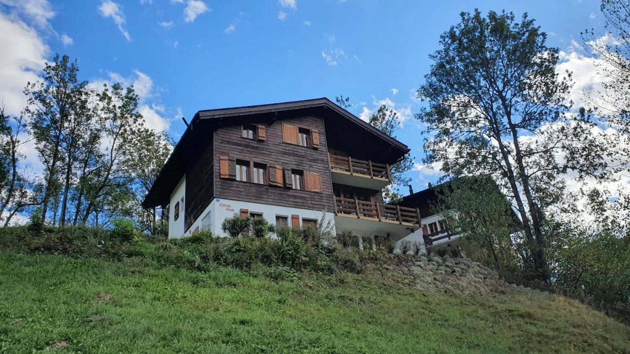 Chalet Carpe Diem Fieschertal Екстер'єр фото